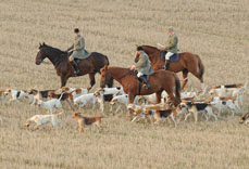Camb-Enfield-Chace-gallery.jpg