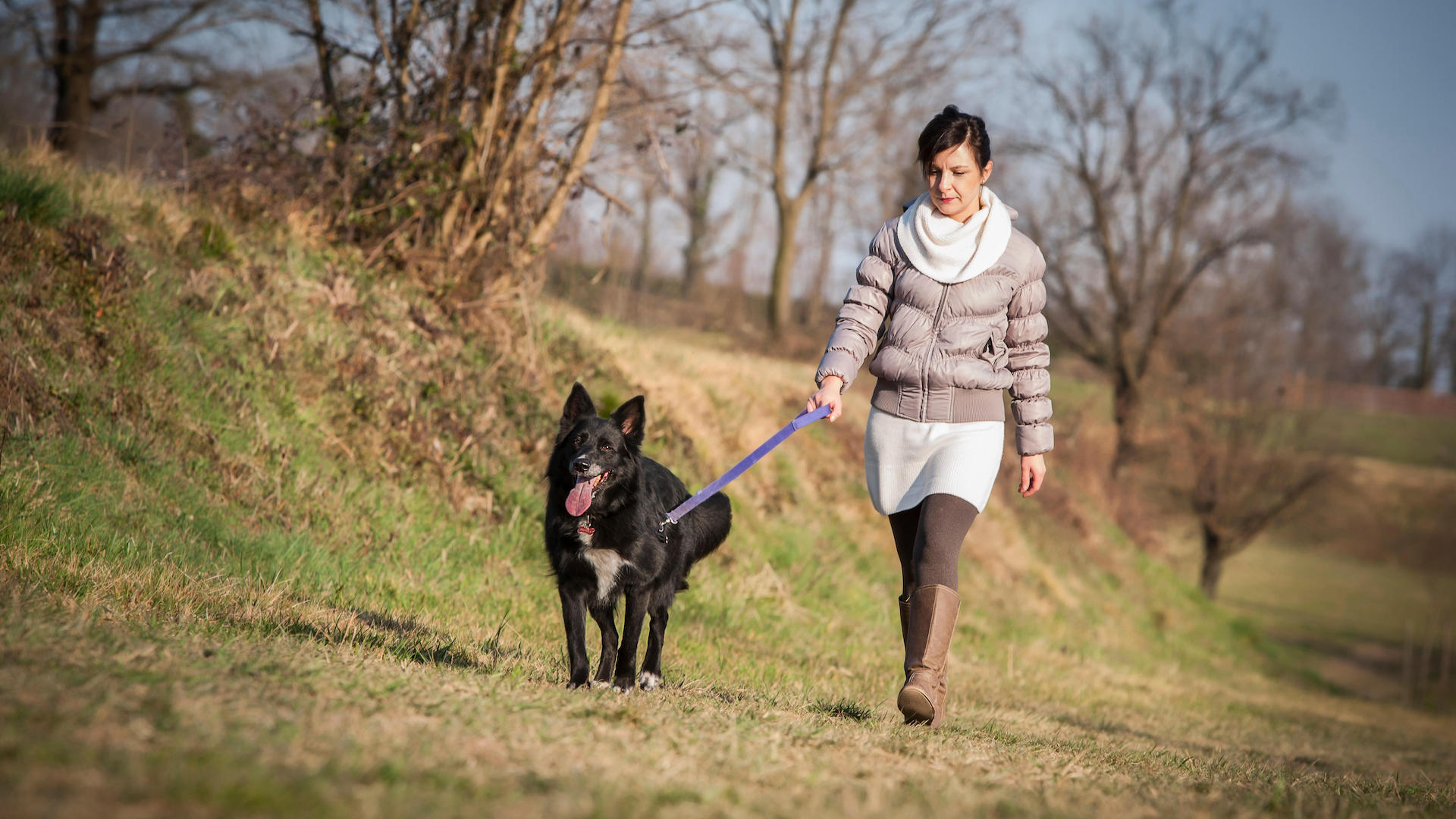 Woman walking dog