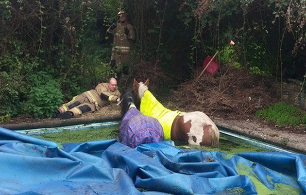 Credit: Dorset Fire and Rescue Service