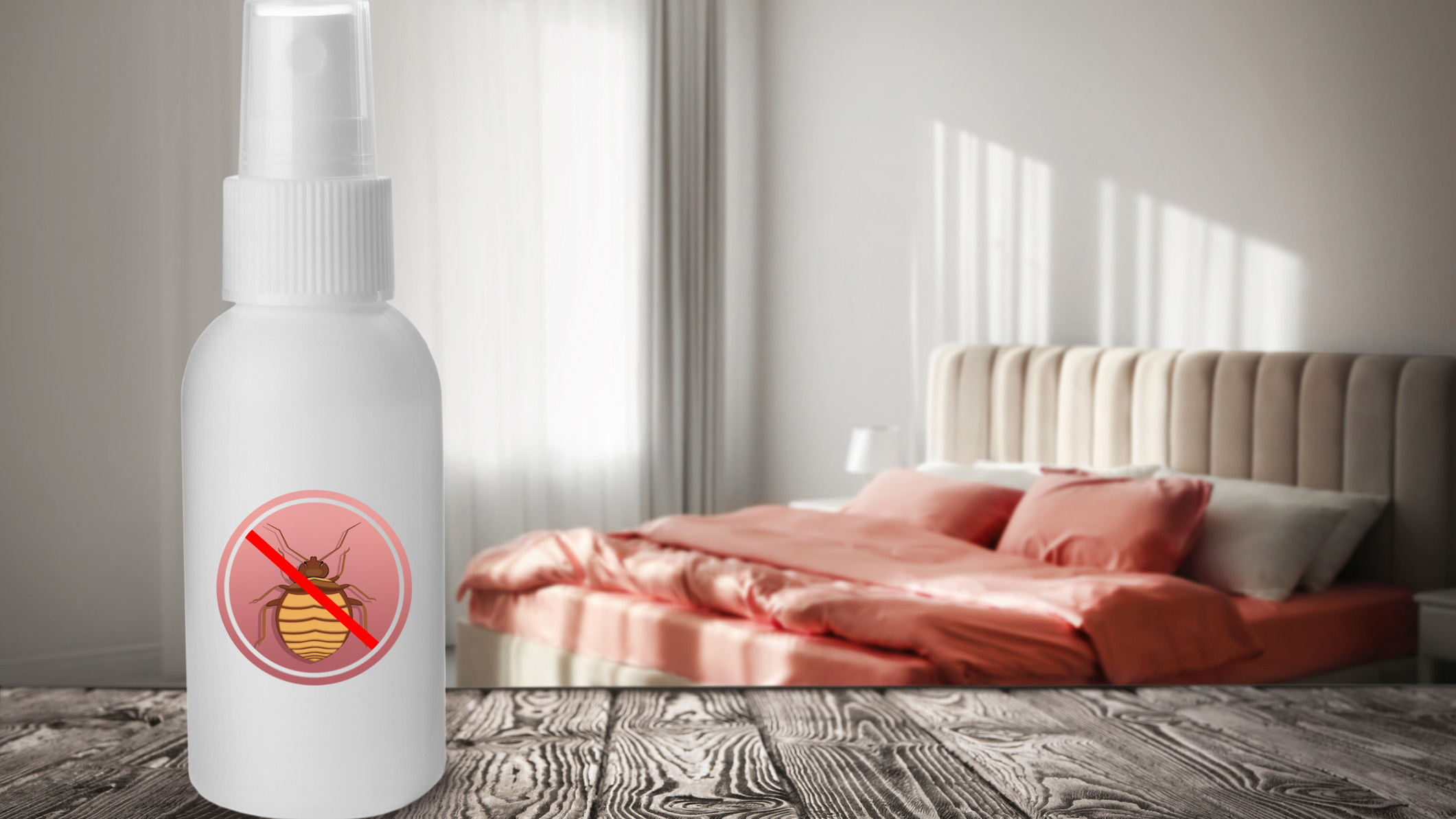 A person uses bed bug spray on an infested mattress