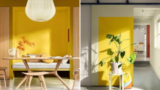 compilation image of a dining room and hallway with feature walls paint in yellow to show the Dulux Colour of the year 2025