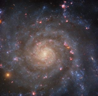 The intermediate spiral galaxy IC 5332 has a glowing core from which loosely-wound arms spiral, glittering with pink and orange stars.