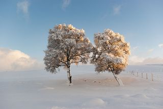 ©Scottish Landscape Photographer of the Year/Chris Jones