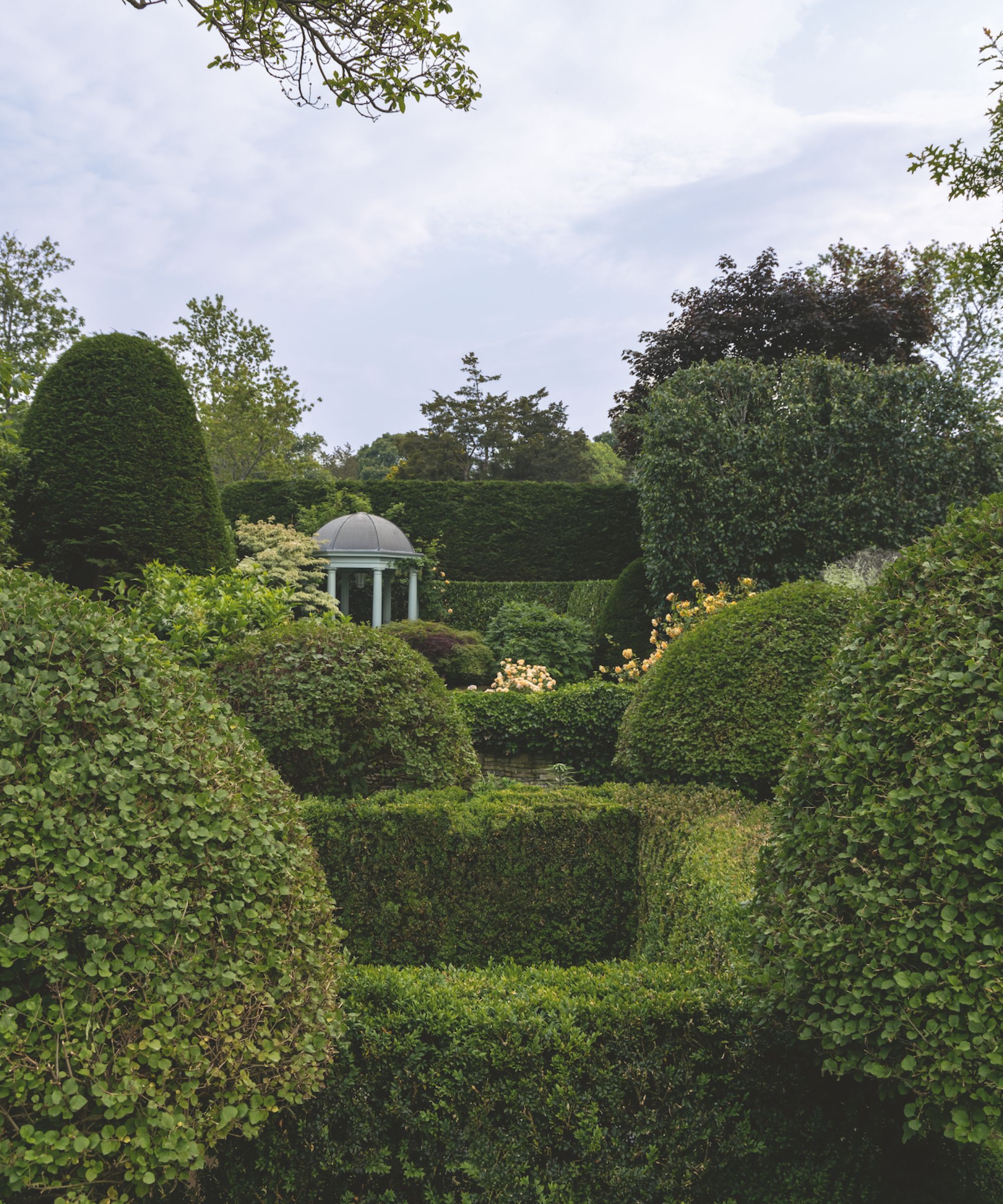 A formal garden with topiary and box