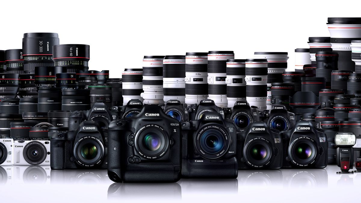 19 years on the prime: Canon: nonetheless #1 for interchangeable lens cameras