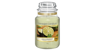 lime and coriander yankee candle, one of the candles in the sale