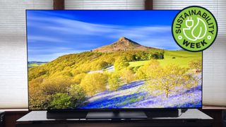 LG G5 OLED TV showing image of landscape