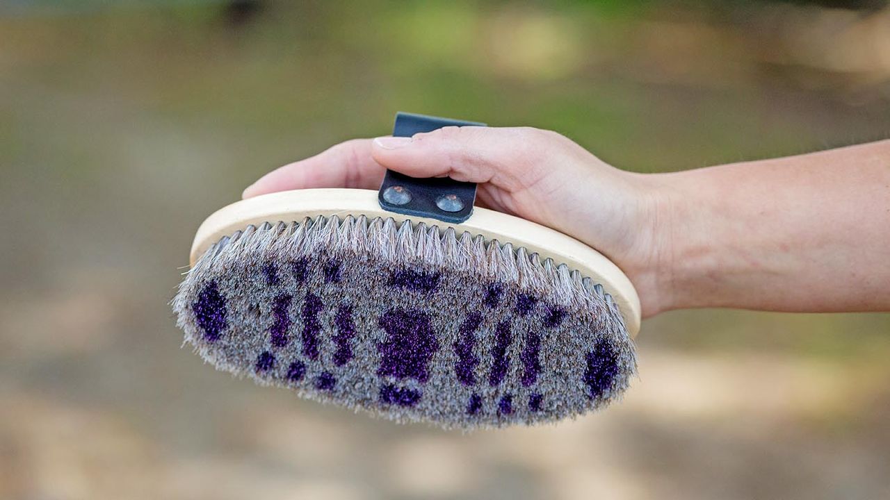 LeMieux Heritage dapple body brush review