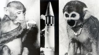 photos of two rhesus macaque monkeys and the rocket on which launched into space