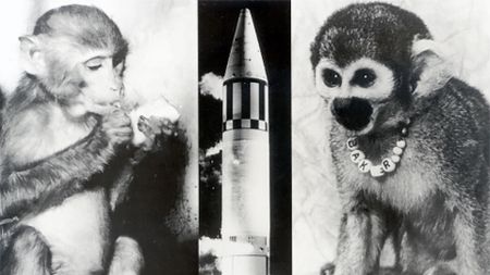 photos of two rhesus macaque monkeys and the rocket on which launched into space