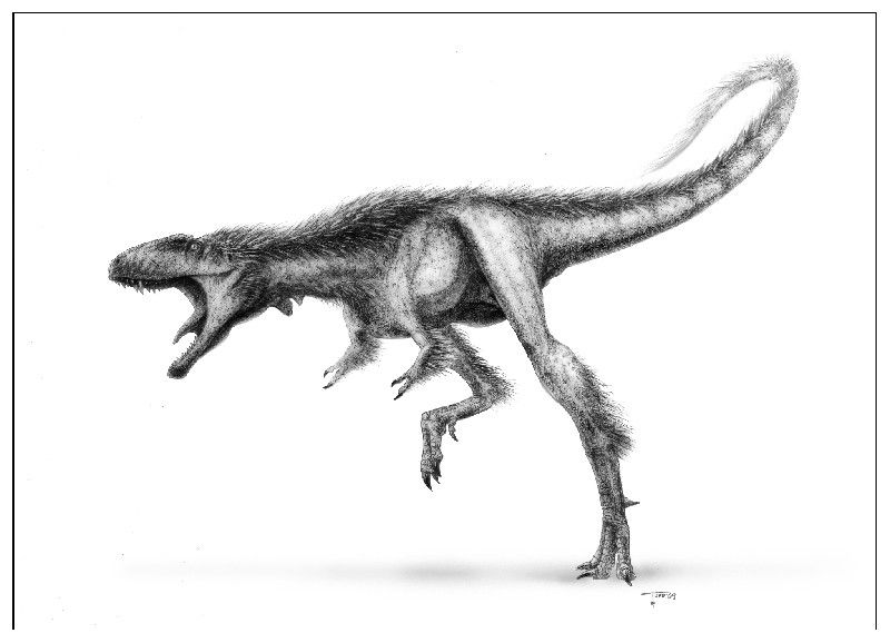 After a fossil collector donated this skeleton, paleontologist Paul Sereno described it as a new species of tiny tyrannosaur called &lt;em&gt;Raptorex&lt;/em&gt;. 