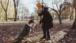 Dog and owner in a park