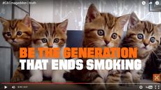A screenshot from a new anti-smoking ad featuring viral cat videos.
