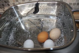 Sous-viding boiled eggs in the Wolf Gourmet Multi-Function Cooker