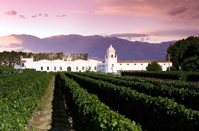 El Esteco Winery