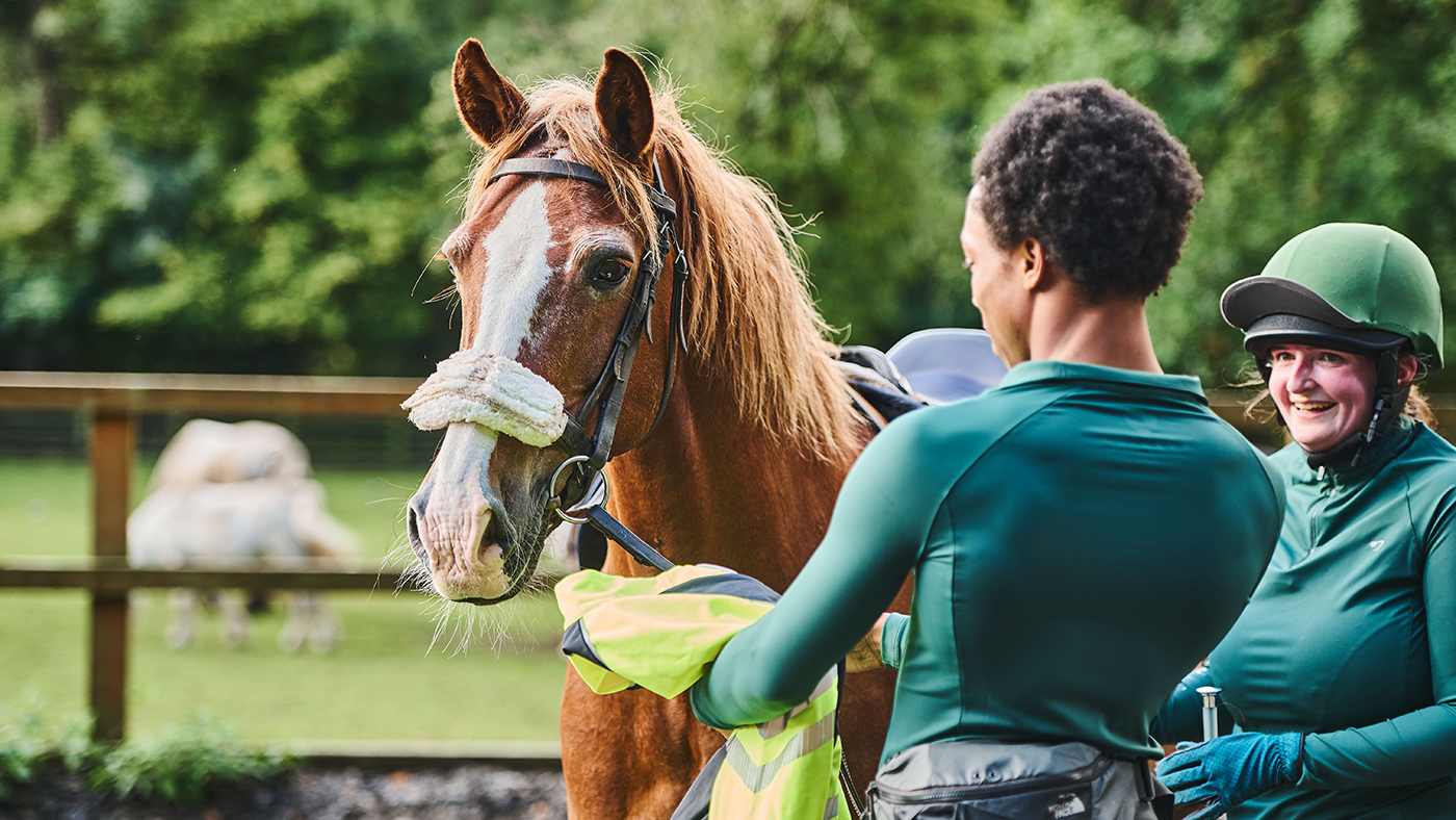 A chestnut riding school pony with pricked ears stands beside an instructor who is facing away from the camera, with a client to the right who is facing the camera.
