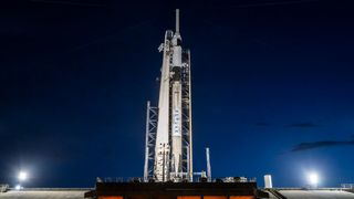 The SpaceX Falcon 9 rocket and Crew Dragon capsule that will fly the Ax-4 private astronaut mission stand on the pad at NASA's Kennedy Space Center in Florida.