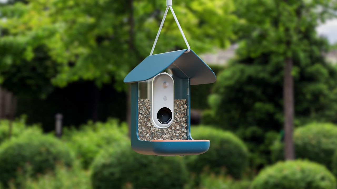 Bird Buddy feeder camera with blue casing, in a garden surrounded by evergreen planting