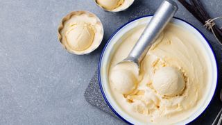 Vanilla ice cream in a bowl with scoop