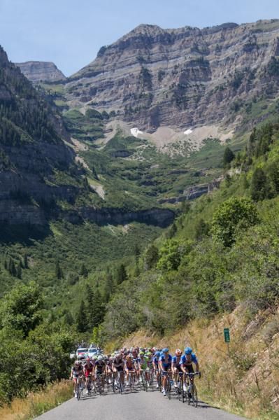 The peloton nears the top of the climb