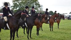A line up of intermediate show riding type entries.