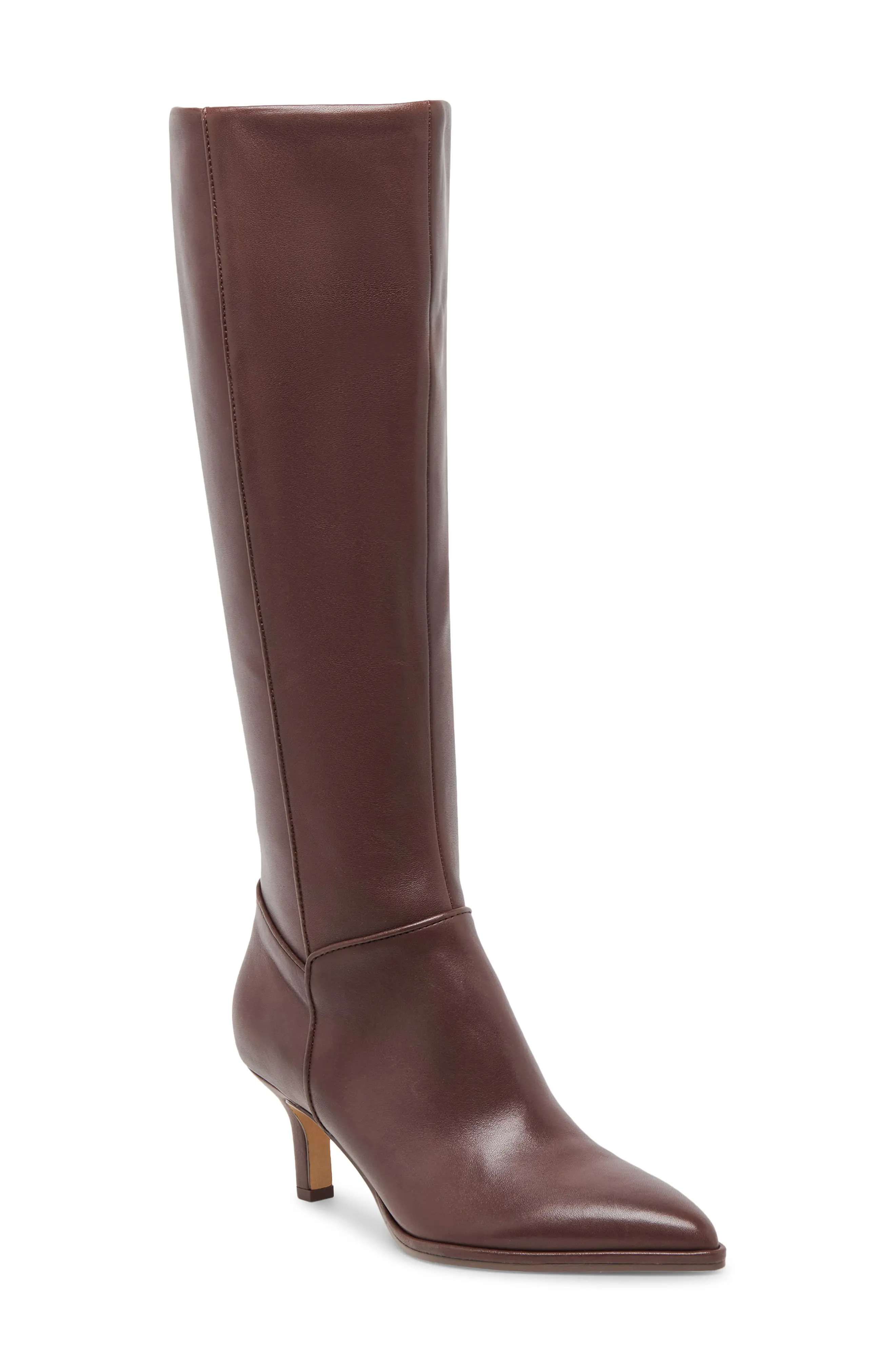 Dolce Vita, Aldy Pointed Toe Knee High Boot