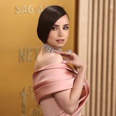 The 31st Annual SAG Awards Beauty