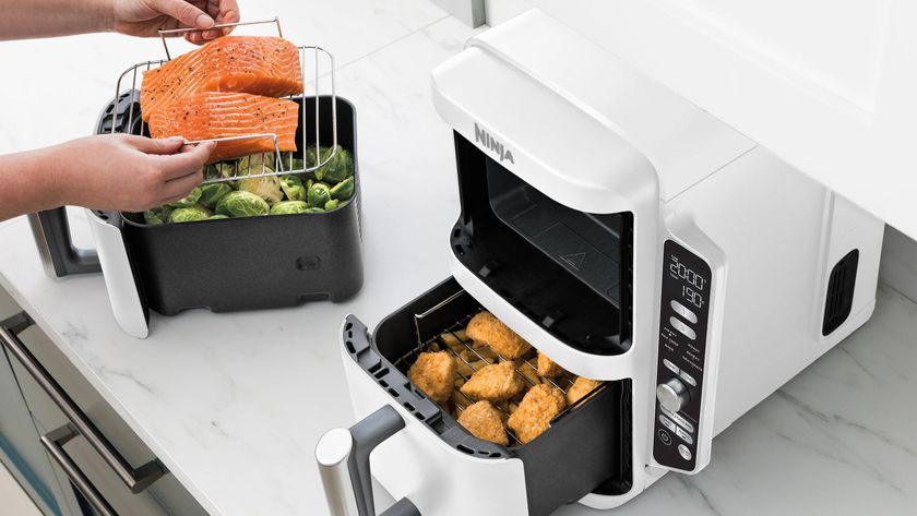 Person cooking salmon and vegetables using white Ninja Double Stack air fryer