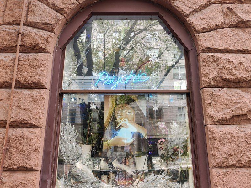 OnePlus 8 main camera sample