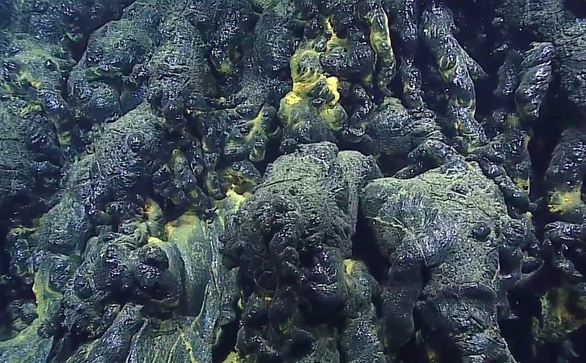 Тихий океан документальный. Базальт на дне океана. Базальтовая лава на дне океана. Дно океана камни. Базальт под водой.