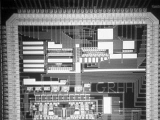 Silicon Brain
