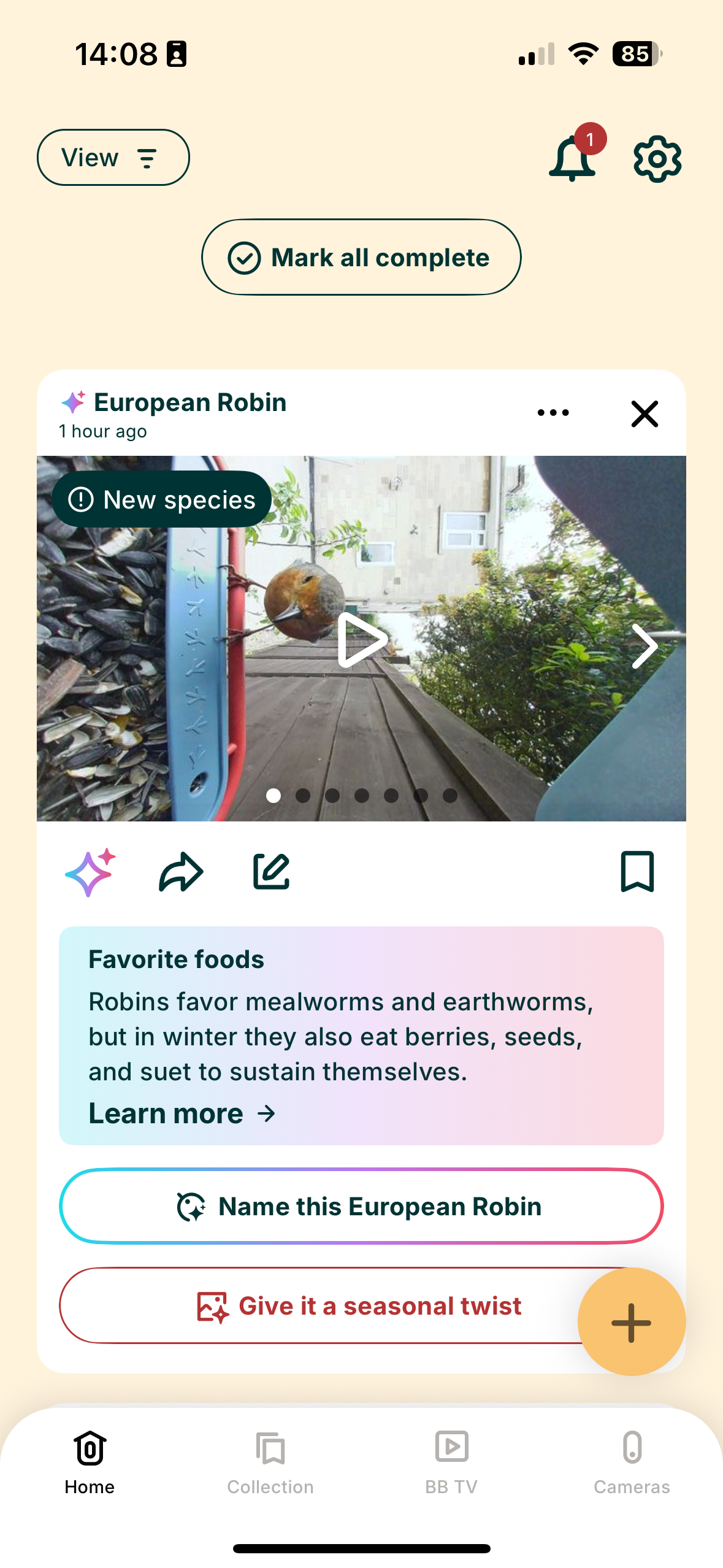 Screenshots from the Bird Buddy 2 app interface
