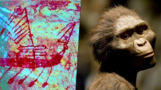 A sculptor&#039;s rendering of the hominid Australopithecus afarensis / An image of a rock painting discovered in a cave in northern Australia