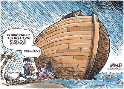 Political Cartoon