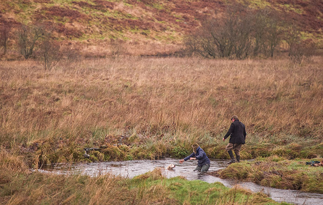 Jane Cook and Nick Roper-Caldbeck give a Dumfriesshire and Stewartry hound a helping hand in the swollen burn