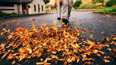 A man blowing leaves on a driveway using a leaf blower