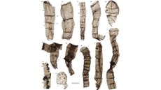 Multicellular fossils come from the late Paleoproterozoic Chuanlinggou Formation.