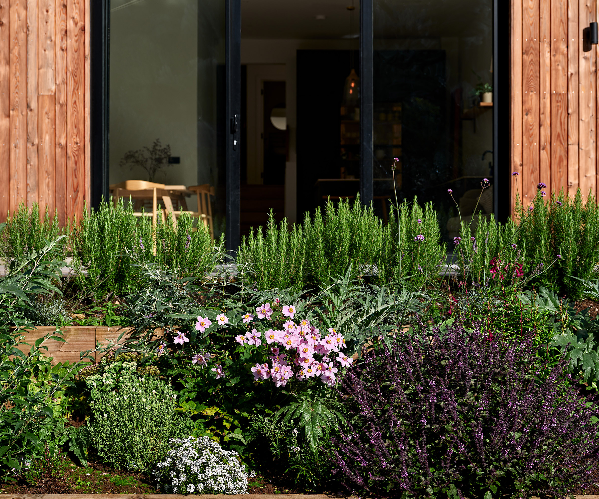 Raised beds planted with herbs and flowering shrubs