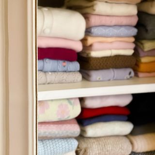 wardrobe with clothes stored neatly inside