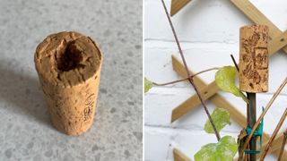 wine cork with a hole used on top of a support cane in a climbing plant pot