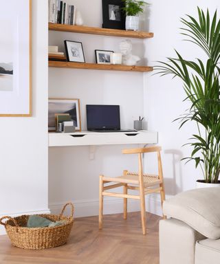 home office with white walls and houseplant