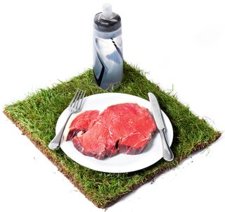 Biodynamic steak on grass edit