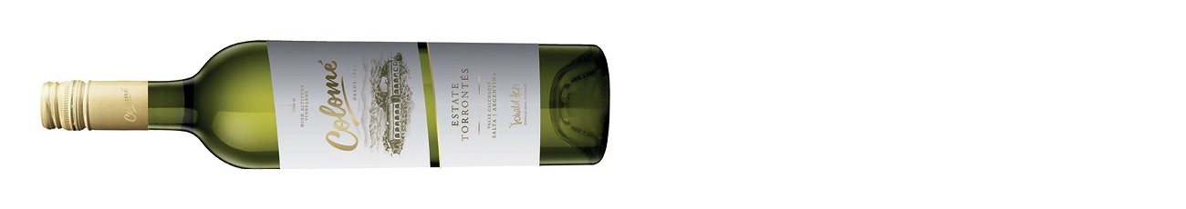 Colom&amp;eacute;, Estate Torront&amp;eacute;s, Calchaqu&amp;iacute;es, Salta 2021