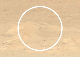Zoomed-in view of a photo of NASA's Ingenuity Mars helicopter taken by the agency's Perseverance rover. The rover team posted this image on Twitter on Jan. 11, 2023.