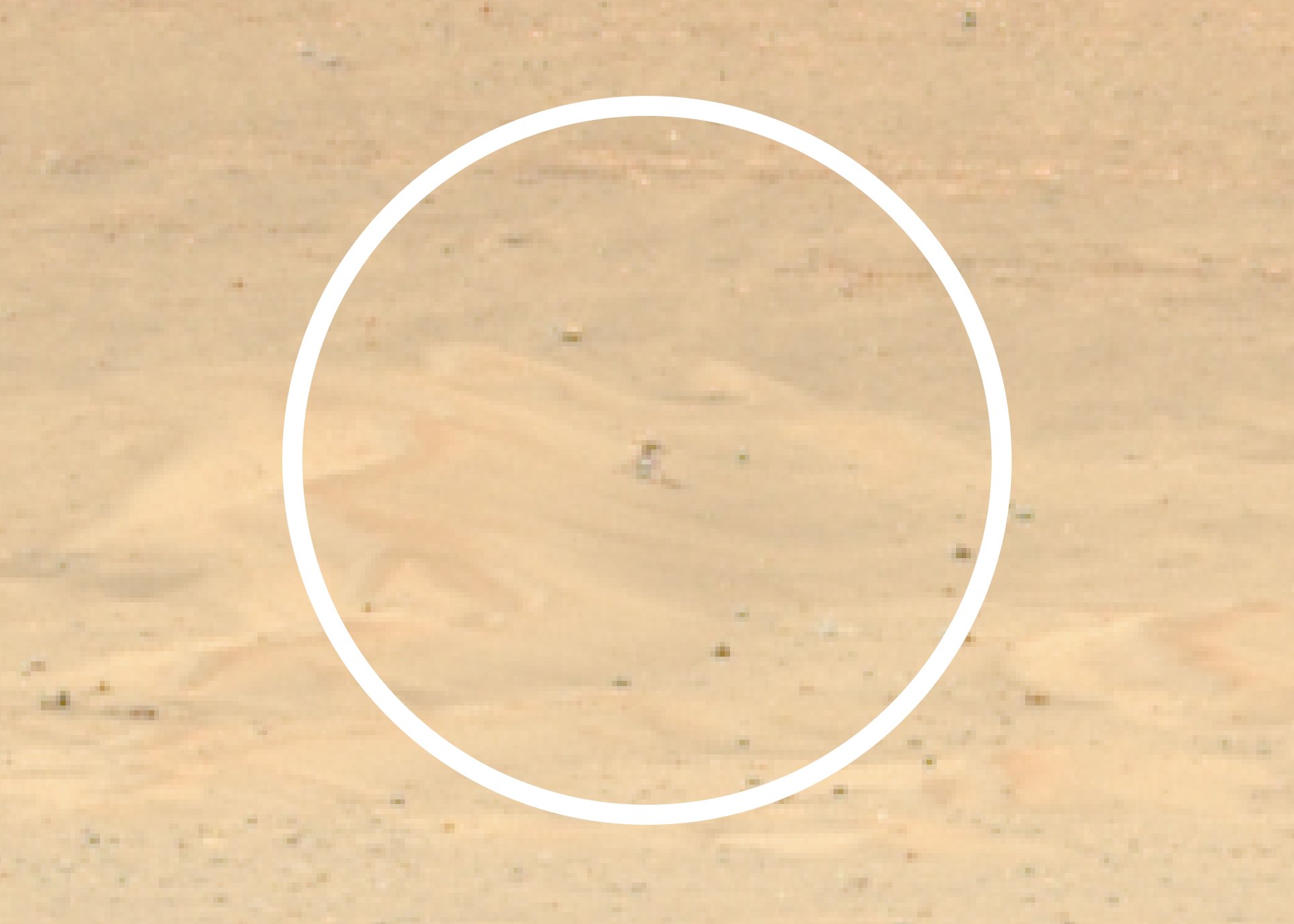 Magnified view of a photo from NASA's Ingenuity Mars helicopter taken by the agency's Perseverance rover.  The rover team posted this image on Twitter on January 1.  11, 2023.