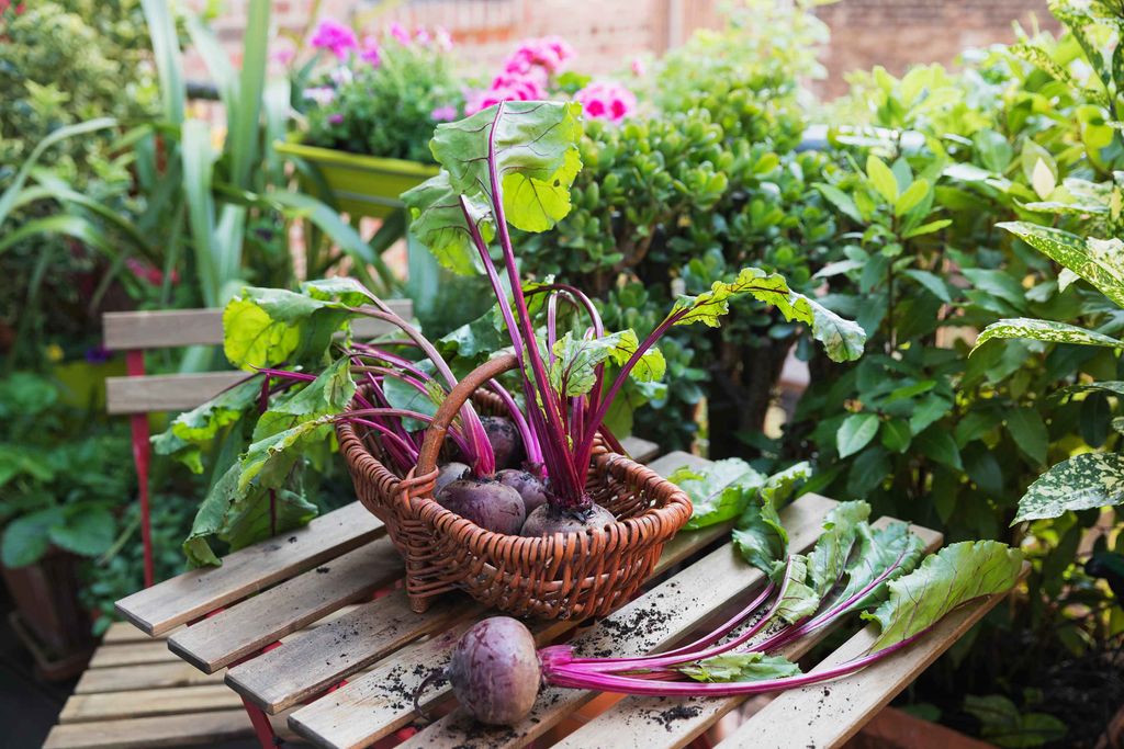 Sustainable gardens: 10 ideas for an eco-friendly space | Gardeningetc