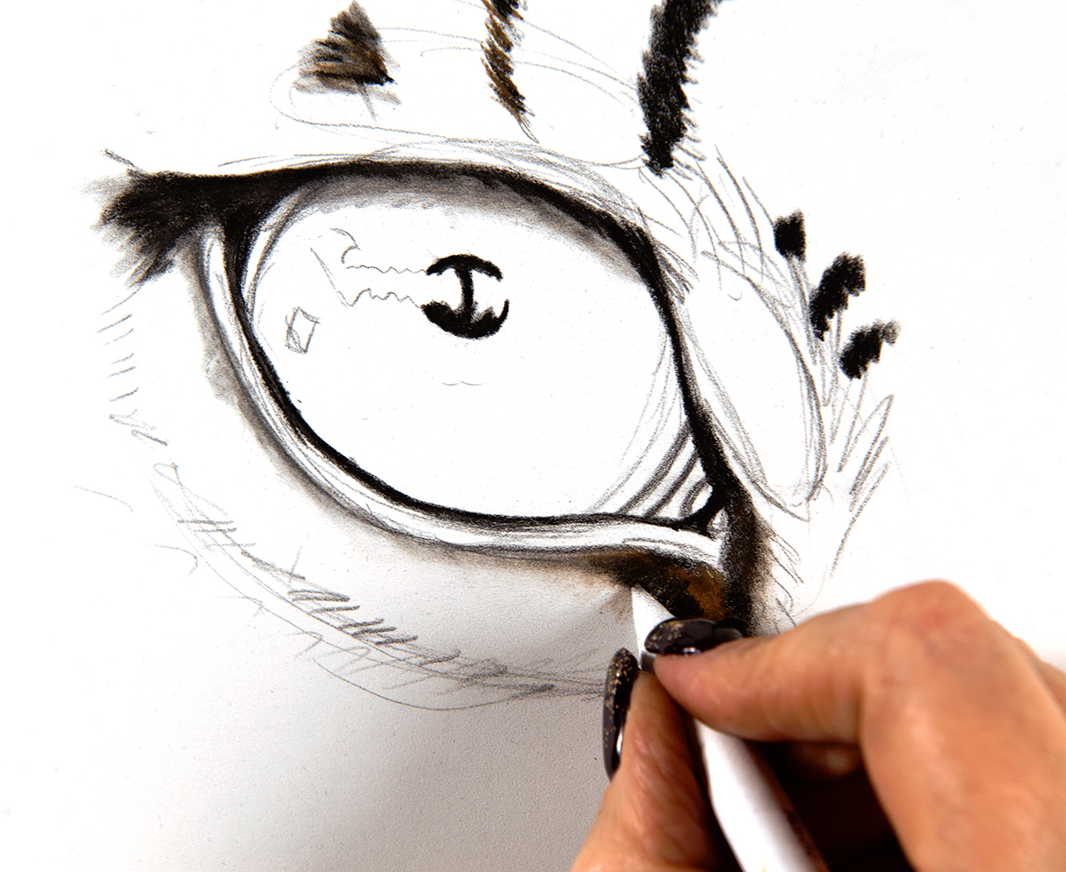 How To Draw Lion Eyes, Step by Step, Drawing Guide, by Dawn - DragoArt