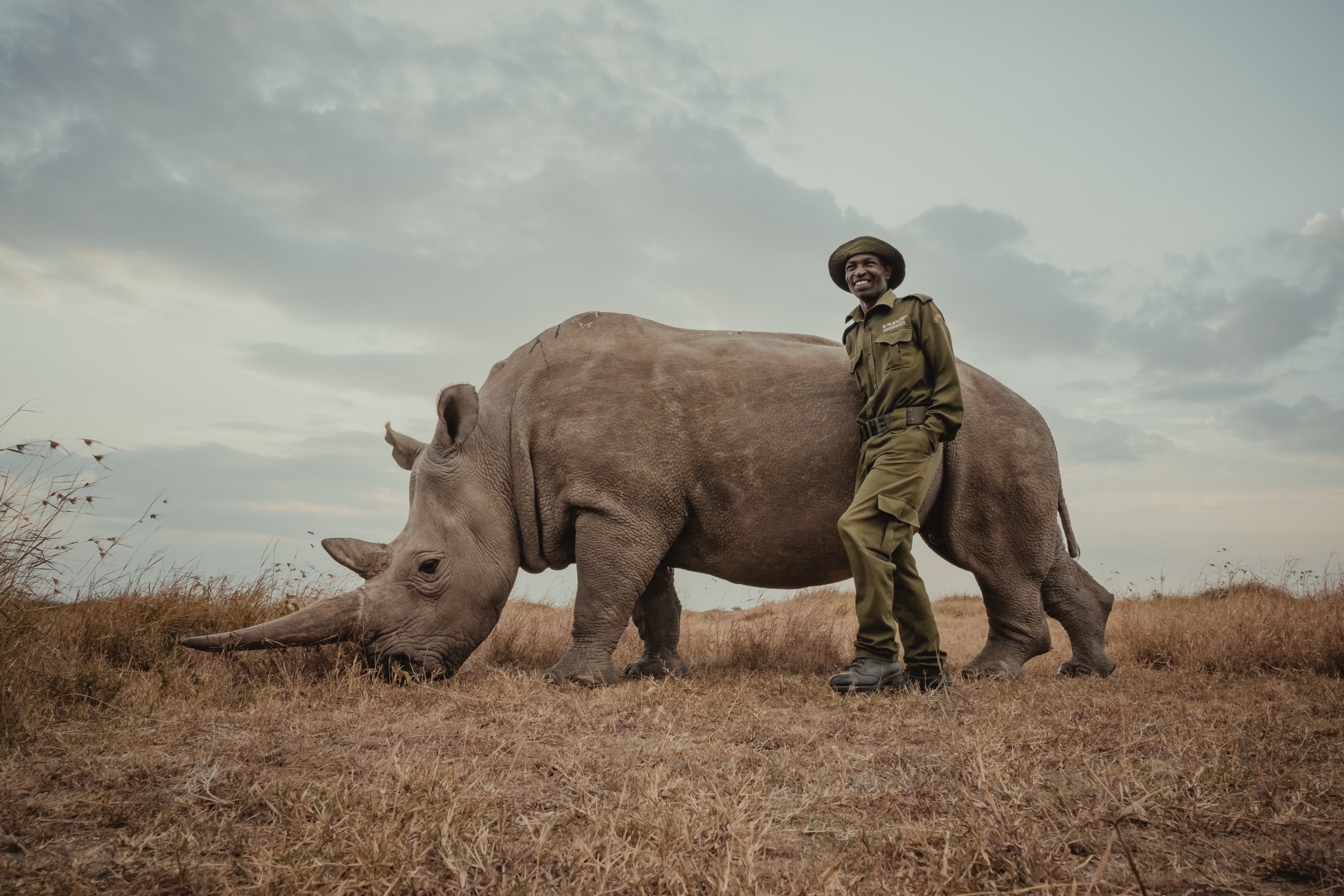 Ranger laughing, leaning against a rhino's flank
