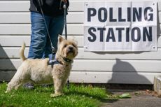 A dog waits outside a polling station as voters go to the polls in the general election on 4 July 2024.