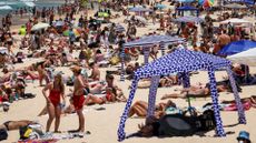 People in swimwear sitting on beach in Australia